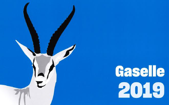 Polar Pel AS ble gasellebedrift i 2019